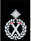 Assistant Commissioner